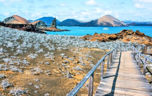 galapagos cruising: exploring the unmissable islands