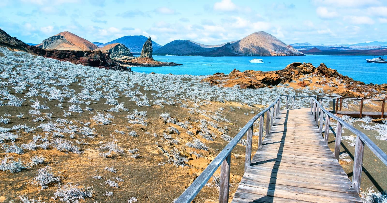 galapagos cruising exploring the unmissable islands galapagos cruising: exploring the unmissable islands