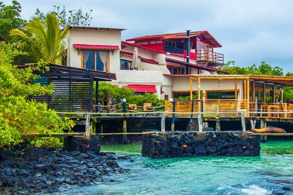Galapagos Habitat - Santa Cruz