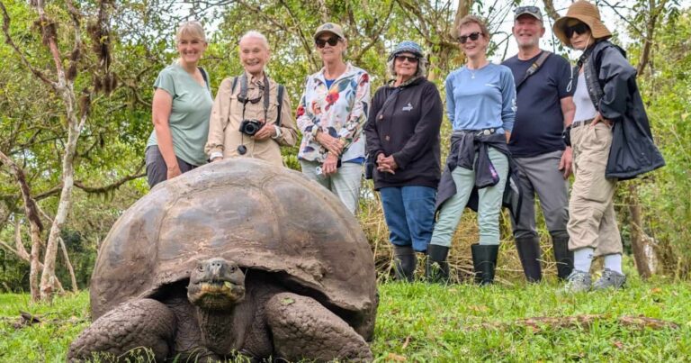 galapagos islands tour for seniors galapagos islands tours for seniors