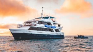 galapagos letty cruise view galapagos letty cruise view