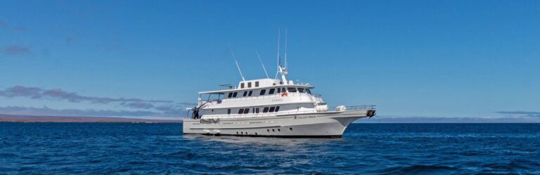 galapagos orion cruise galapagos orion cruise