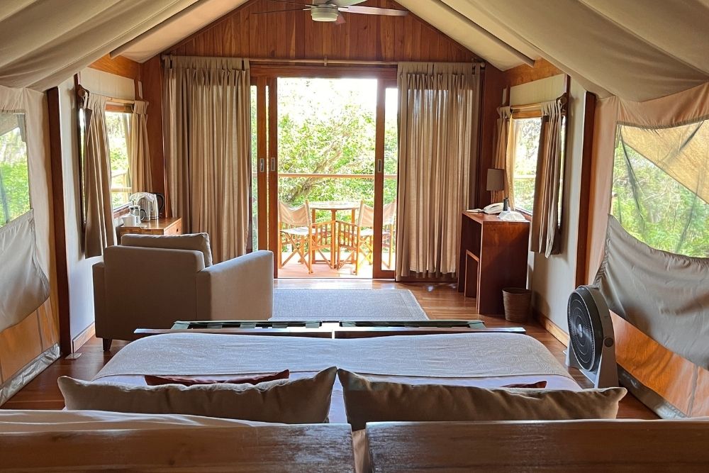 galapagos safari camp interior tented suite at galapagos safari camp, blending comfort and nature among galapagos islands luxury resorts.