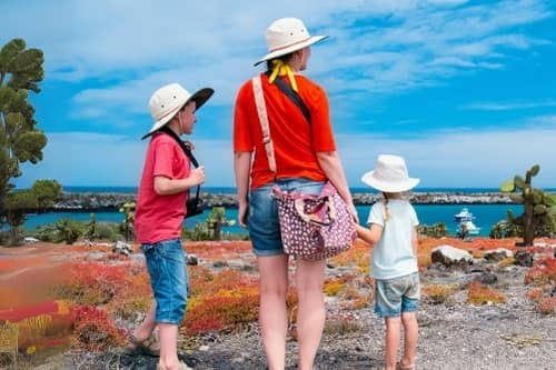galapagos toddlers 1 sea lions at san cristobal. - galapagos island hopping tours