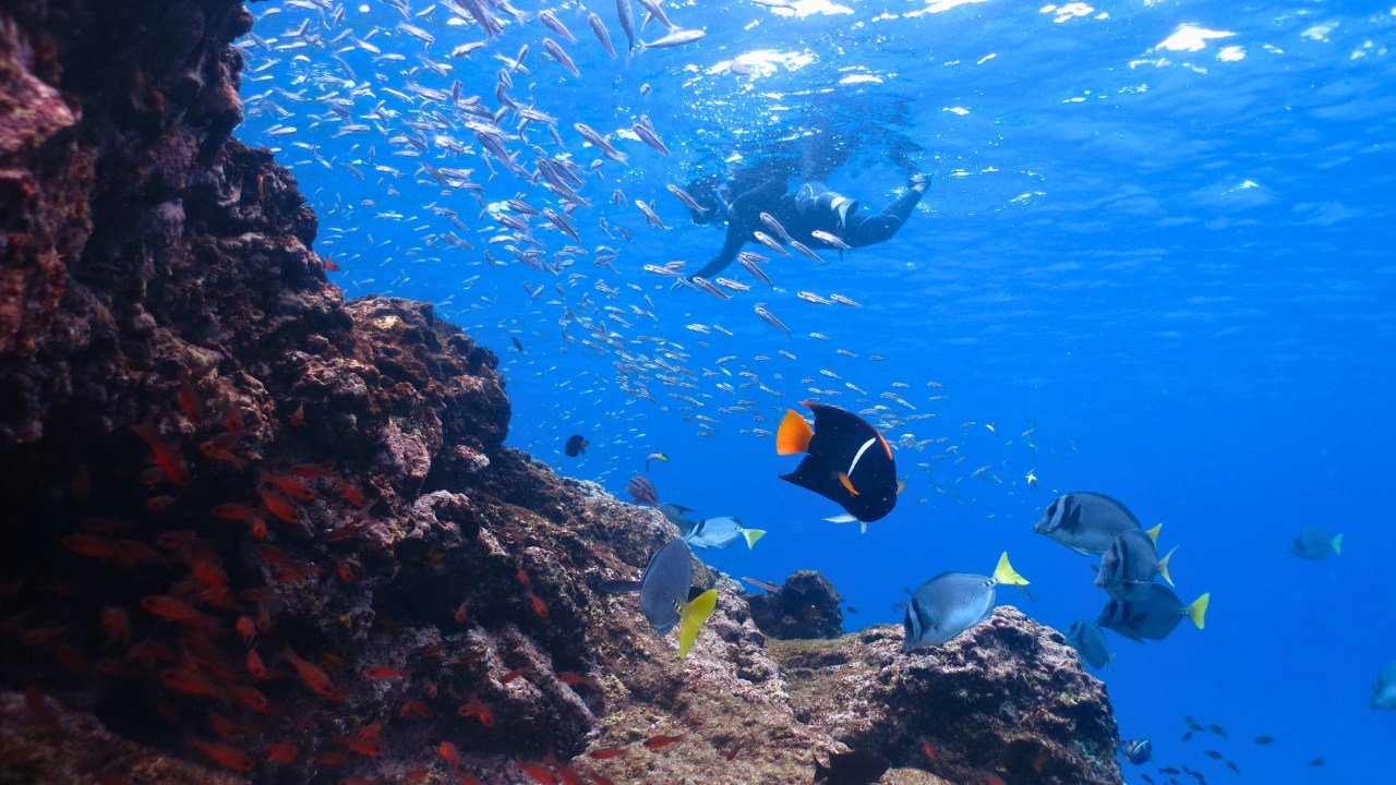 galaxy sirius galapagos cruise 3 galaxy sirius galapagos cruise. snorkeling