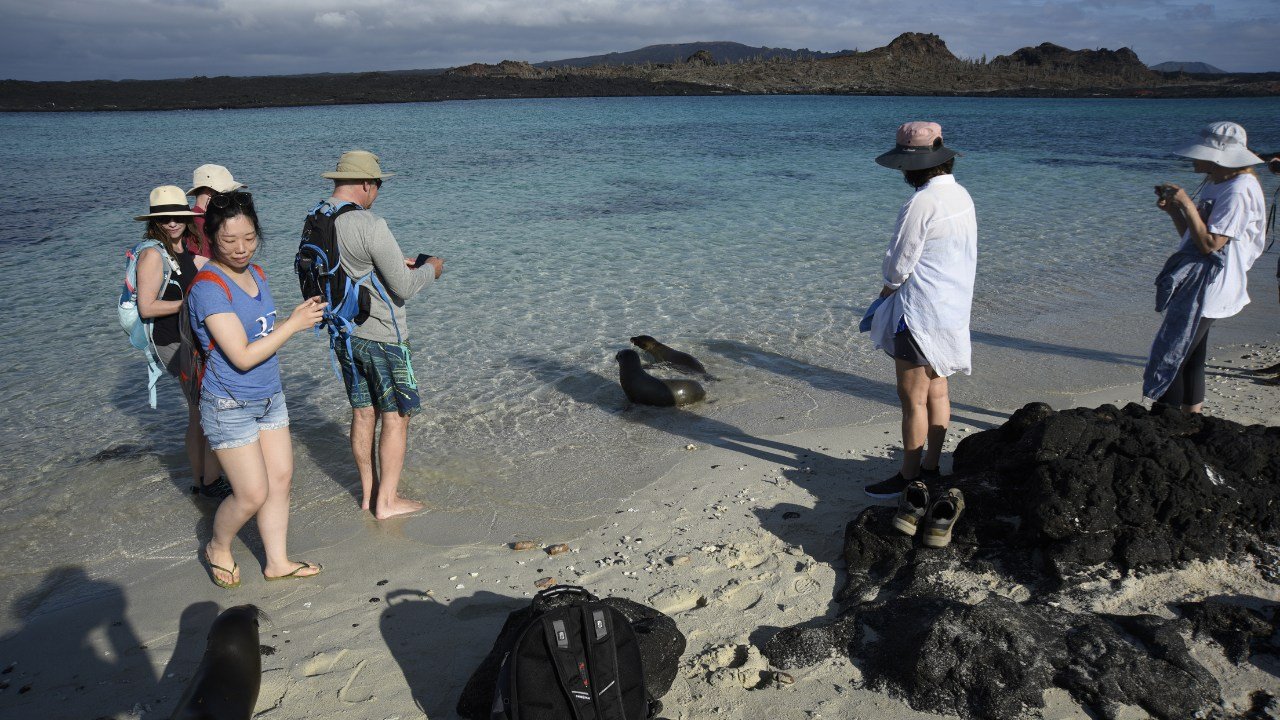 galaxy sirius galapagos cruise gallery galaxy sirius galapagos cruise. tourists on a galápagos beach observing sea lions