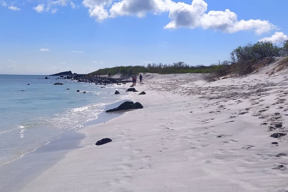gardner bay espanola island galapagos gardner bay española island