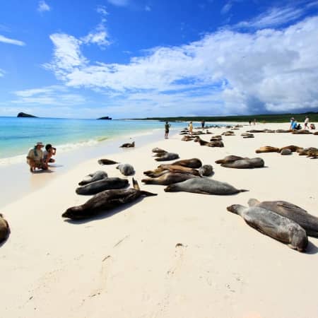 Gardner-Bay-Galapagos-San-Cristobal Rebecca Adventure Travel Gardner Bay - Galapagos Cruise Visit