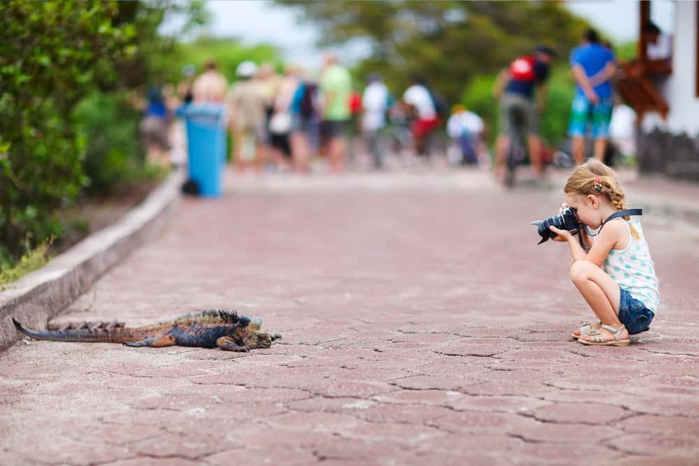 girl taking a photo to a galapagos iguana 1000x667 1 girl taking a photo to a marine iguana in galapagos.