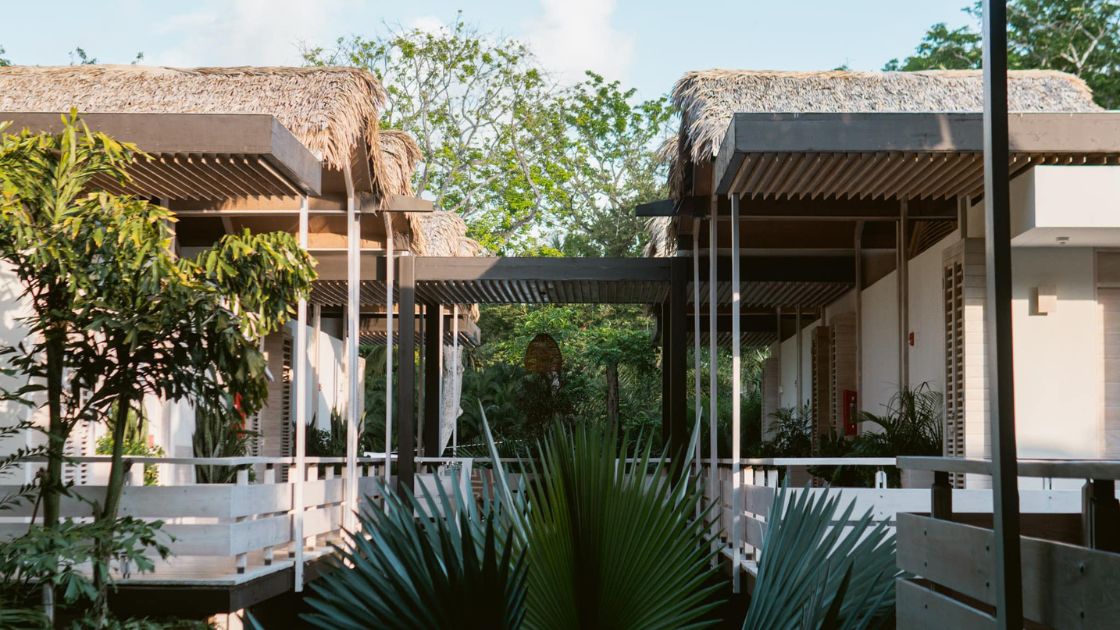 guilded iguana 2 guilded iguana