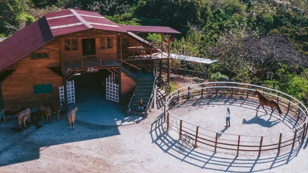 hotel belmar 3 hotel belmar