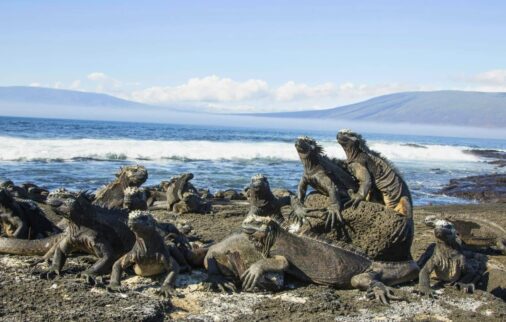 how to plan your galapagos vacation