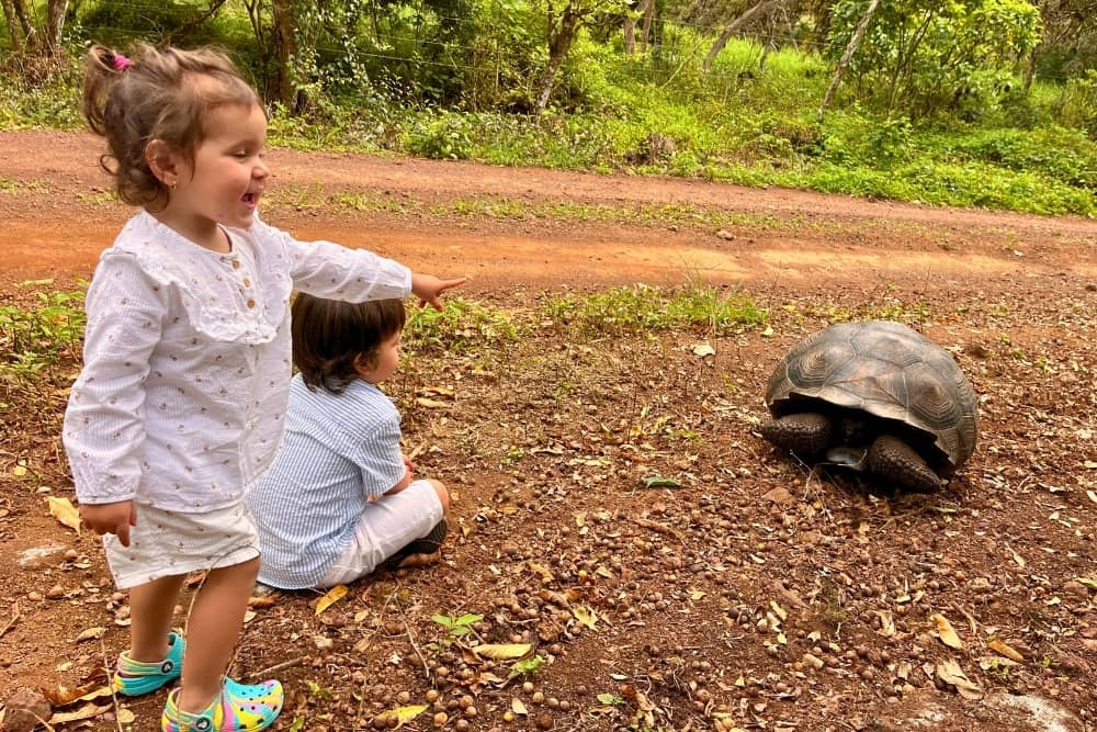 infants and toddlers at galapagos santa cruz highlands - family
