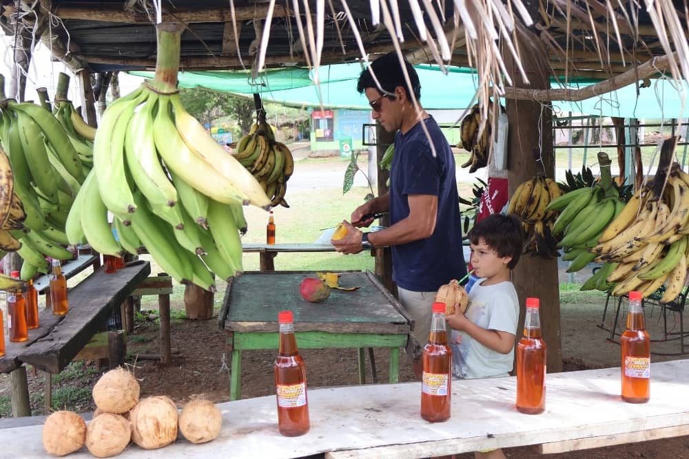 kid friendly activities in costa rica kid-friendly activities in costa rica