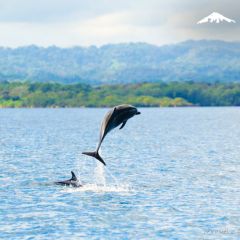 Los Mogos - Costa Rica Cruise Rebecca Adventure Travel Los Mogos - Costa Rica Cruise