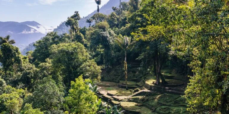 lost city trek santa marta lost city trek - santa marta