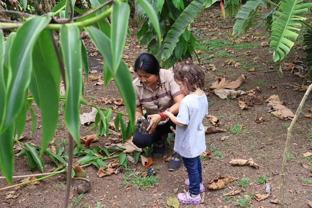 maleku traditional farm in costa rica maleku traditional farm in costa rica
