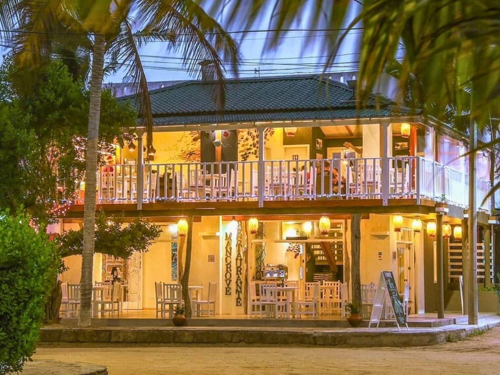 mangrove restaurant mangrove restaurant