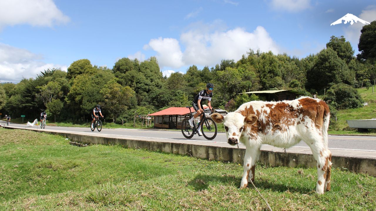 Medellin Route Cycling Tour around a farm