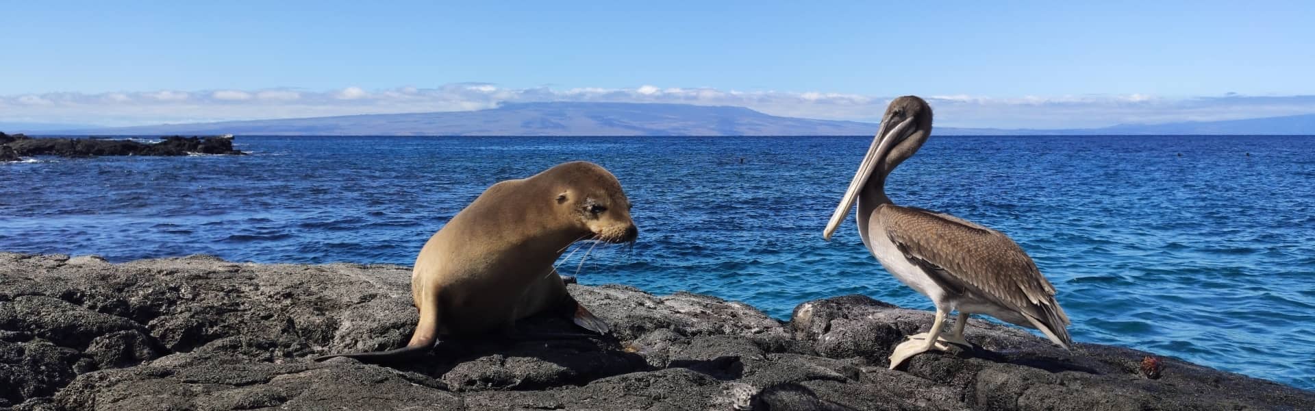 10% OFF 2026 Bookings!