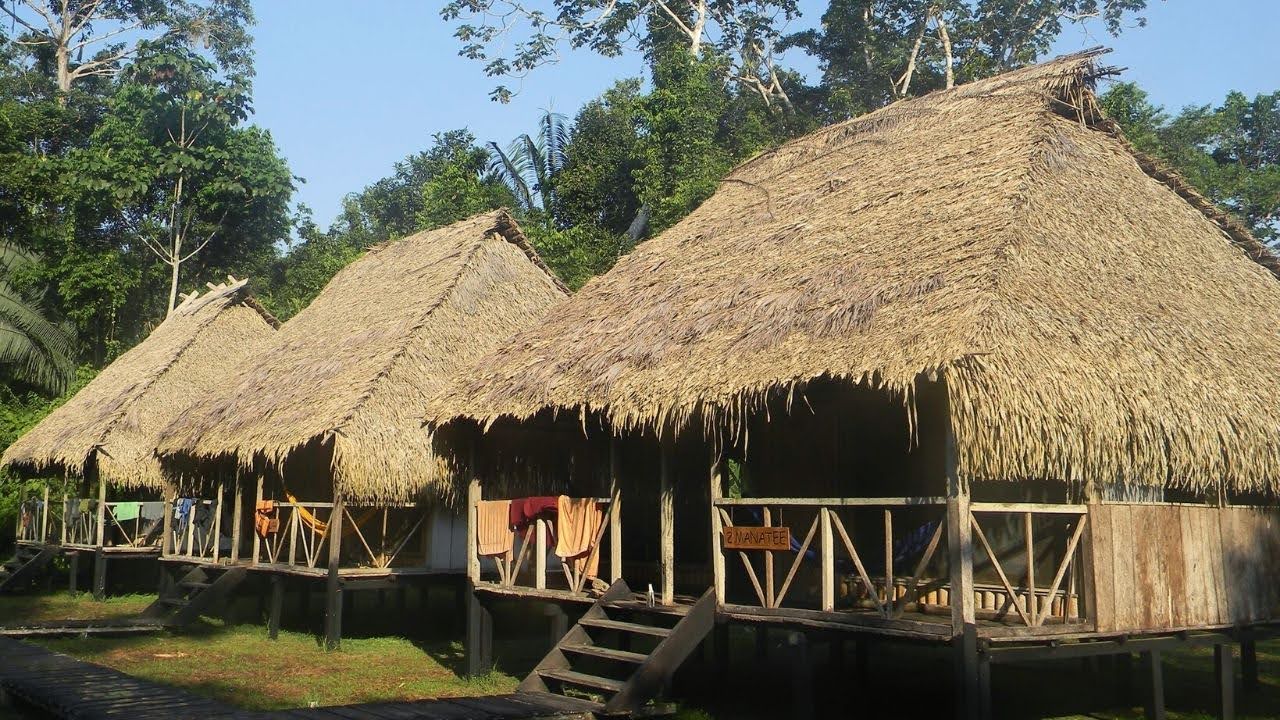 Nicky Lodge - Cuyabeno