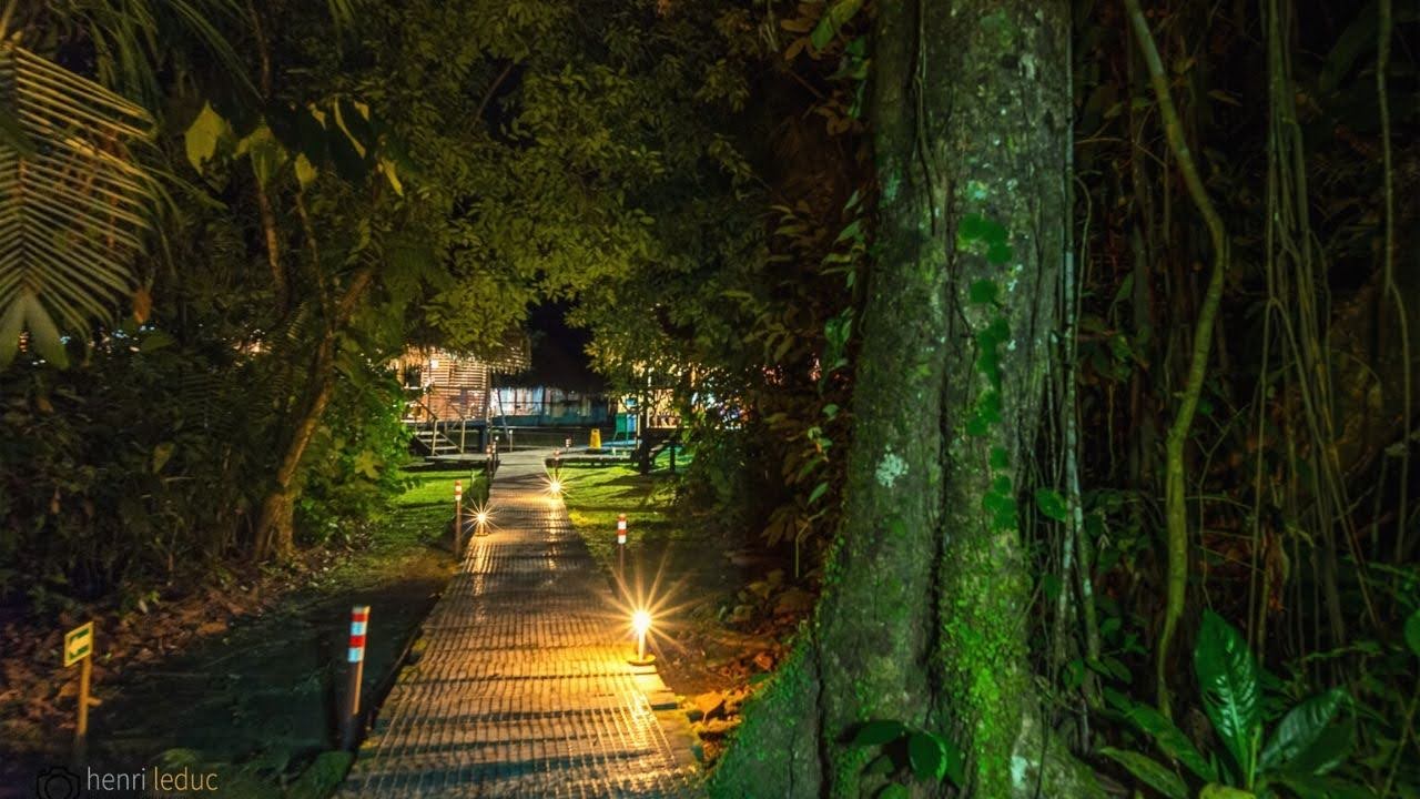 Nicky Lodge - Cuyabeno