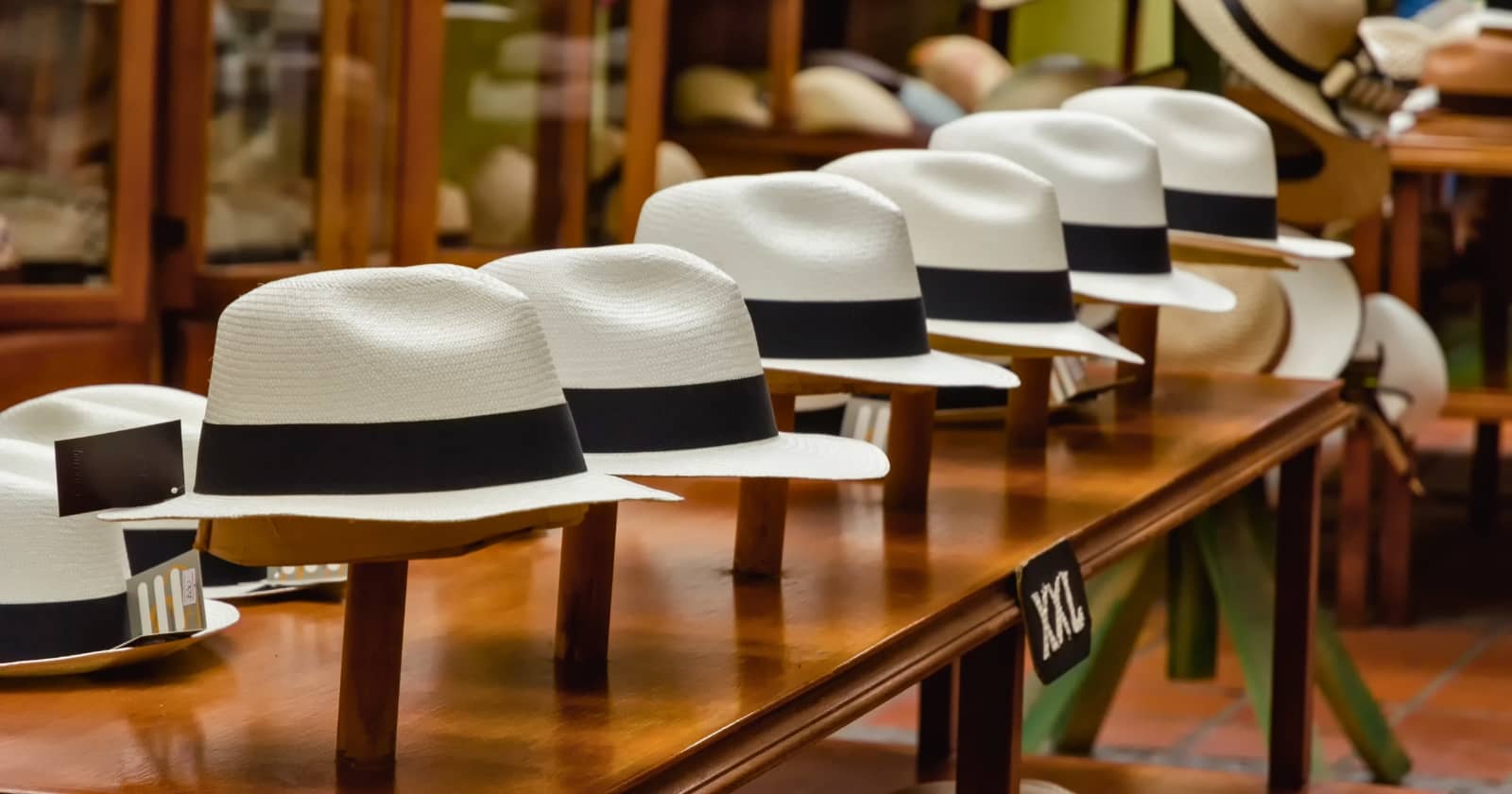 panama hat 2 panama hat