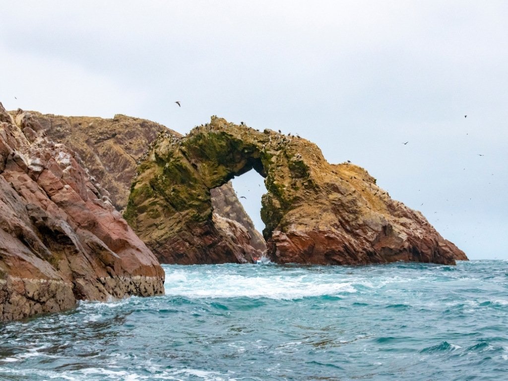 paracas national park paracas national park - camping