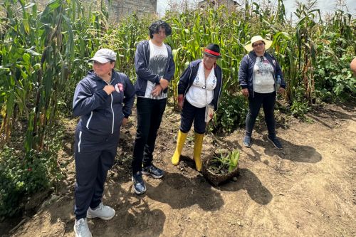 pifo community pifo community