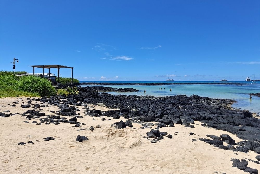 playa de la estacion in santa cruz island volcanic shoreline and calm waters at playa de la estación on santa cruz island, ideal for swimming and relaxing