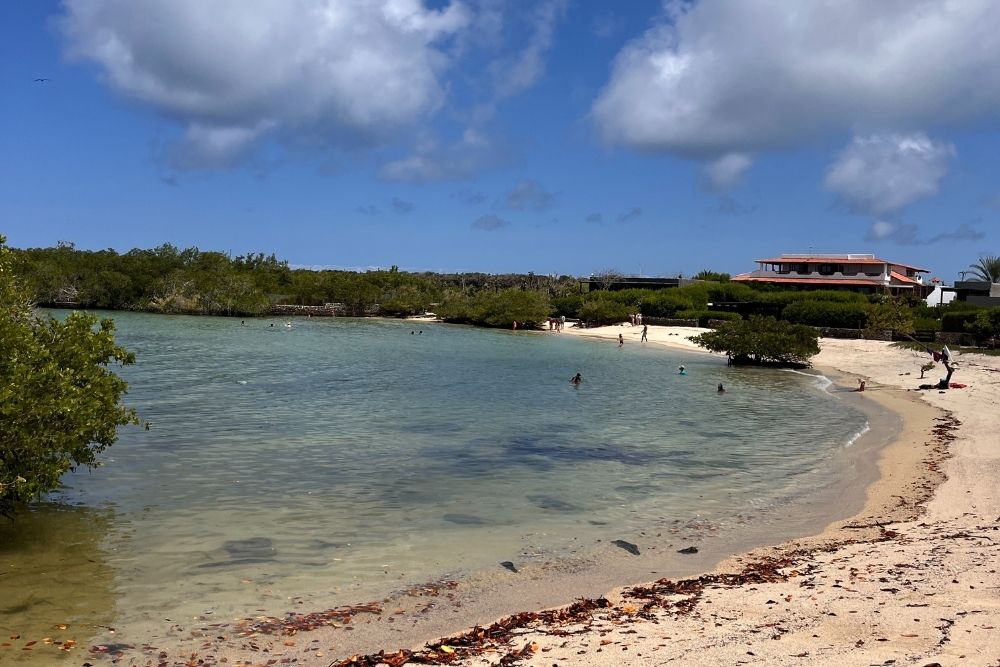 playa de los alemanes santa cruz galapagos playa de los alemanes highlights the laid-back charm of the beaches on santa cruz