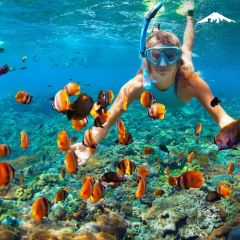 Punta Adela - Costa Rica Cruise Rebecca Adventure Travel Punta Adela - Costa Rica Cruise