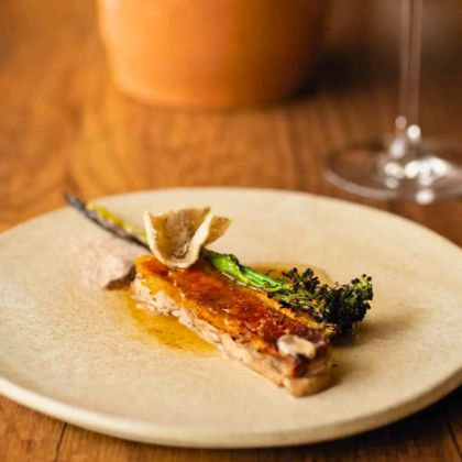 quitu food quitu food expereince