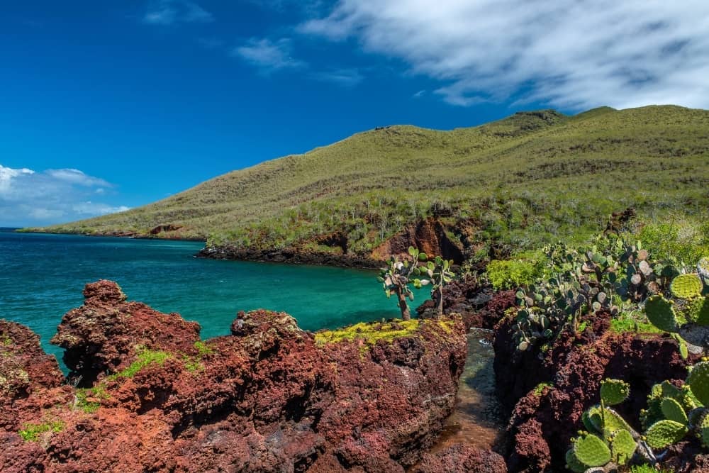 rabida island rabida island - galapagos cruise experience