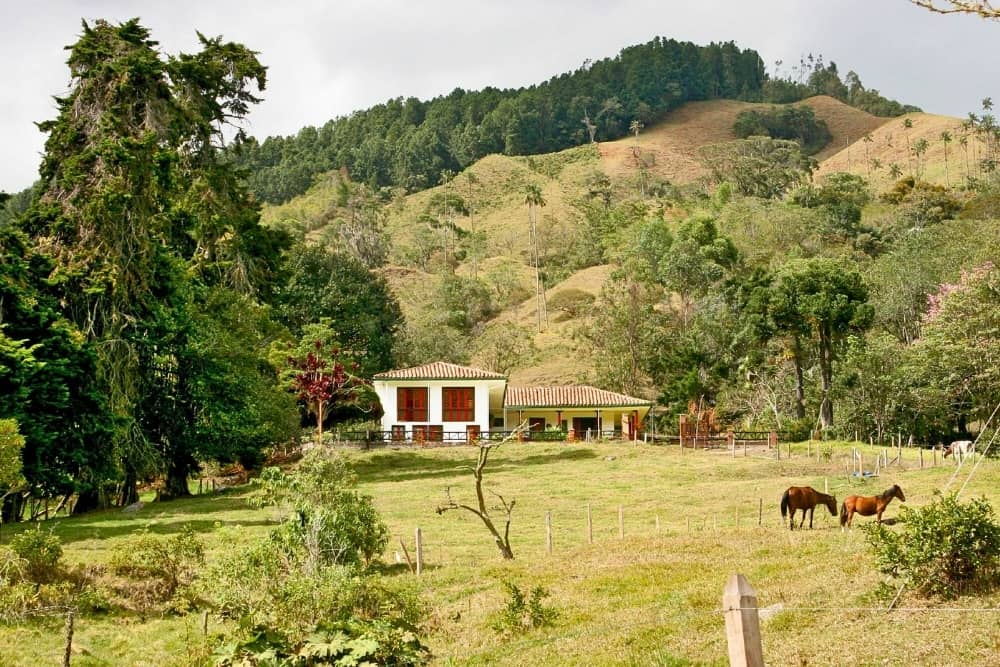 Reserva El Cairo - Salento