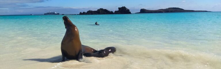 responsible travel safeguarding galapagos responsible travel- safeguarding galapagos