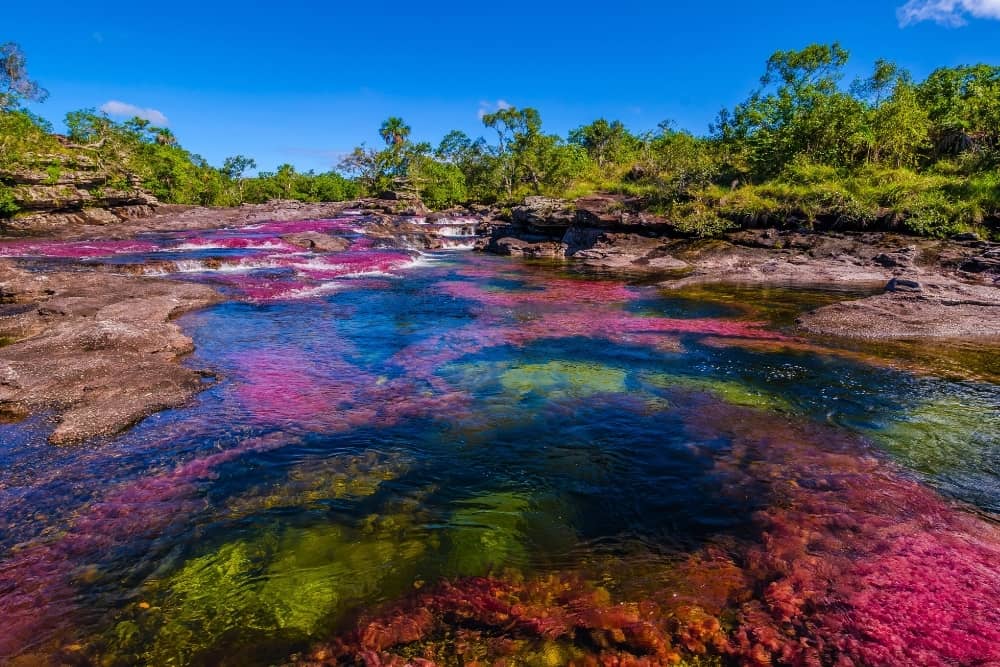 river of seven colors colombia river of seven colors, colombia