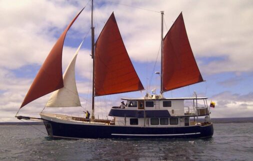 samba galapagos cruise experience