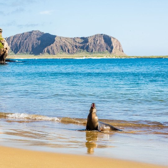 san cristobal arrival ecuador podcast