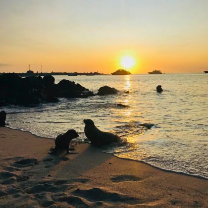 San Cristobal Rebecca Adventure Travel San Cristobal