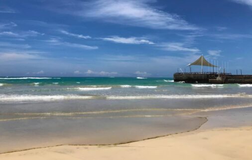 santa cruz galapagos