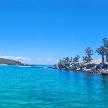 santa fe galapagos islands santa fe - galapagos islands