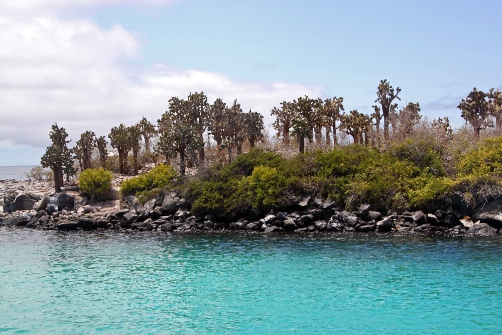 santa fe island santa fe