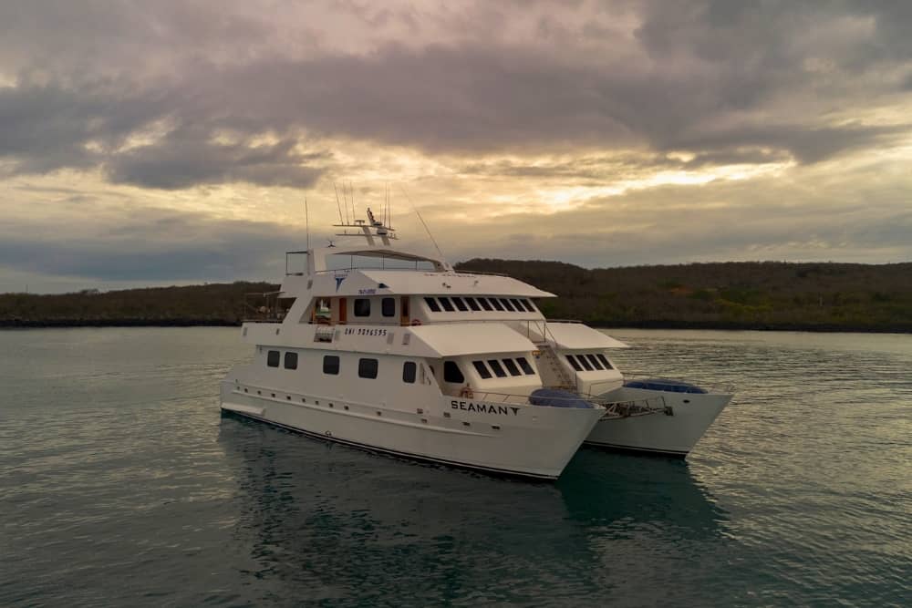 seaman journey galapagos cuise gallery 5 seaman-g8