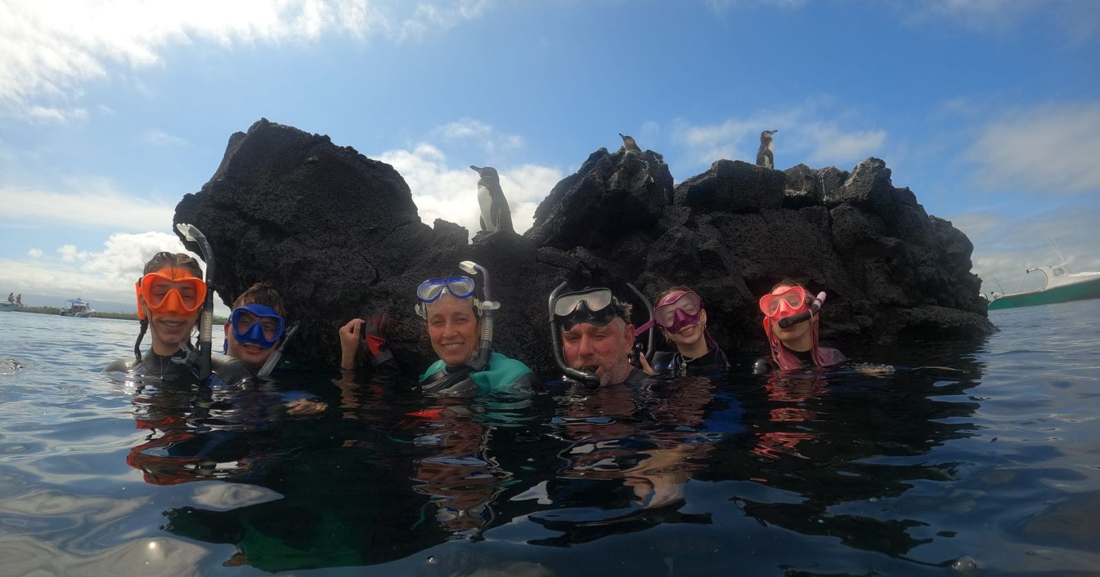 snorkeling los tuneles isabela island snorkelers at los túneles with penguins and lava rocks, showcasing what to do on isabela island in the galapagos