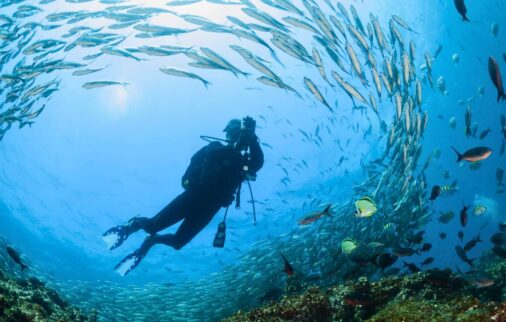 snorkeling vs diving