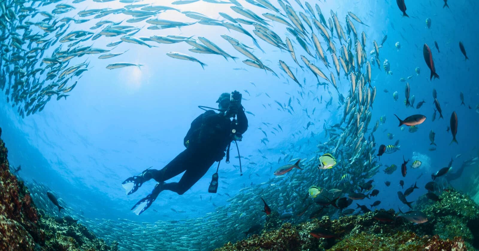 snorkeling vs diving 1 snorkeling vs diving