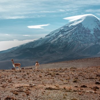 solo 6 day ecuador hiking 6 day ecuador hiking - top 5