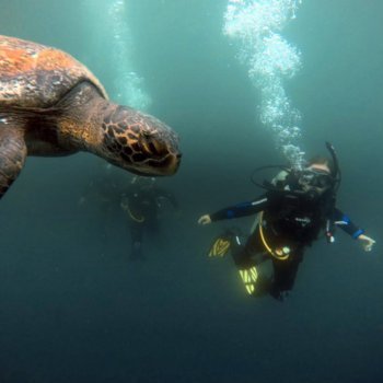 solo rebeccas 8 day galapagos multisport 8 day galapagos multisport best choice