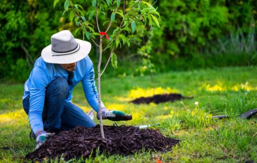 steps to a sustainable travel industry